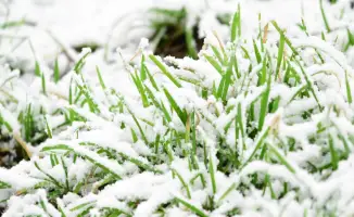 Казахстан: резкое похолодание и снег ожидаются 7-9 апреля, предупреждают синоптики