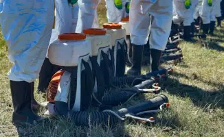 В Павлодаре продолжается международная борьба с комарами: обработка водоемов в центре внимания