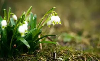 Сильные дожди и заморозки ожидаются в Казахстане: синоптики предупреждают о неблагоприятных погодных условиях на 30 апреля и 1-2 мая.