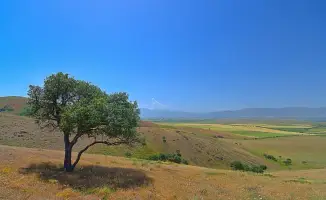 Казахстан накроет жара: температура поднимется до 32 градусов