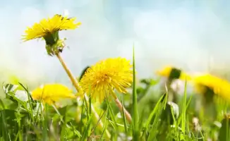 Социальные последствия экстремальных температур: прогноз погоды на май 2026 года в Казахстане