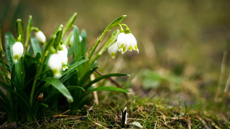 Сильные дожди и заморозки ожидаются в Казахстане: синоптики предупреждают о неблагоприятных погодных условиях на 30 апреля и 1-2 мая. Павлодаре