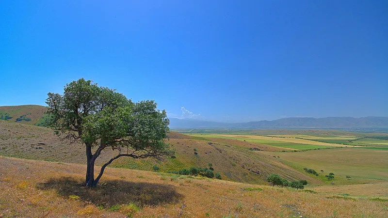 Казахстан накроет жара: температура поднимется до 32 градусов Павлодаре