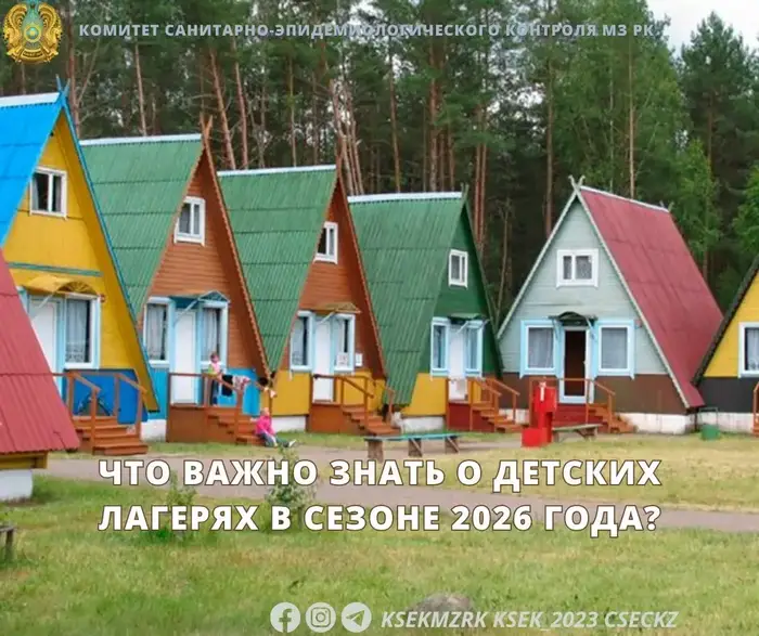 Летний сезон 2026: детские лагеря готовятся к приему детей с акцентом на безопасность и здоровье