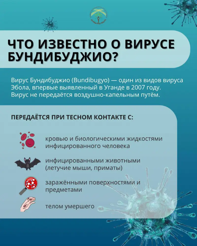 Социальные последствия вспышки лихорадки Эбола: важность соблюдения гигиены и обращения за медицинской помощью