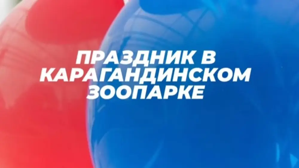 В Караганде 1 июня состоится праздник для детей с ростовыми куклами, пенным шоу и фокусами в зоопарке