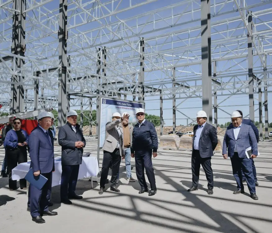 Запуск завода по переработке люцерны в Кызылжарском районе: новые возможности для экспорта и экономики региона