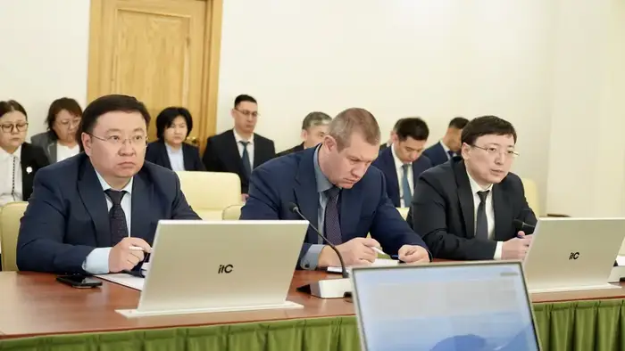 Цифровой мост к социальной поддержке: автоматизация мер на пути к упрощению услуг