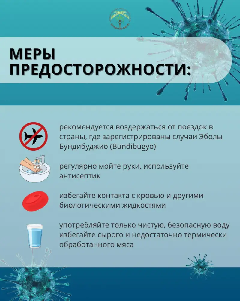 Эбола в пути: как не стать жертвой приключения?