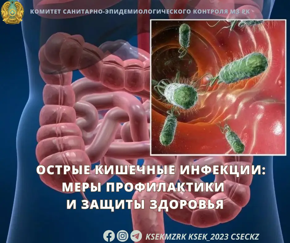 Влияние острых кишечных инфекций на общественное здоровье и важность гигиенических мер