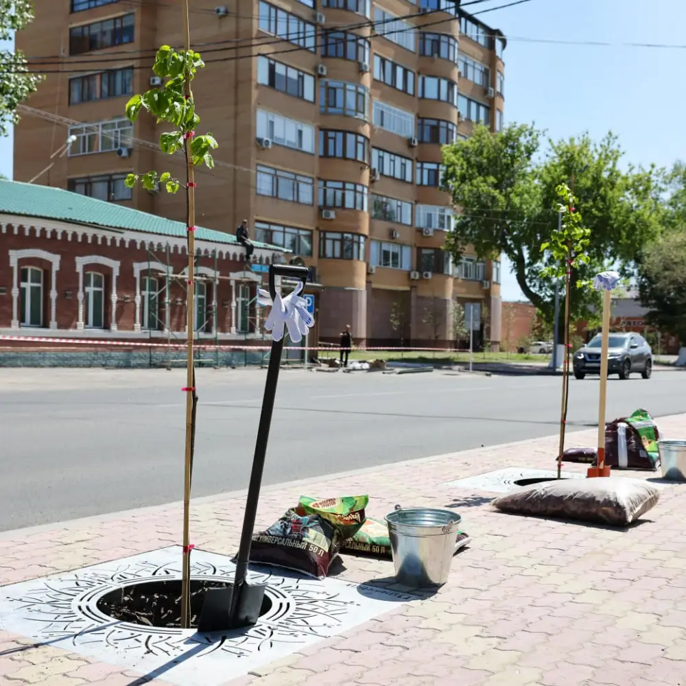 Павлодар: город расцветает под заботливым солнцем озеленения
