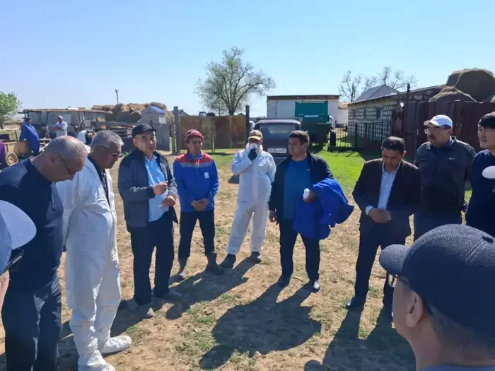 Проверка безопасности животных в Западно-Казахстанской области Амангалием Бердалином
