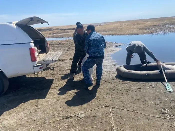 В ловушке закона: рыбак попался на удочку за незаконный лов во время нереста