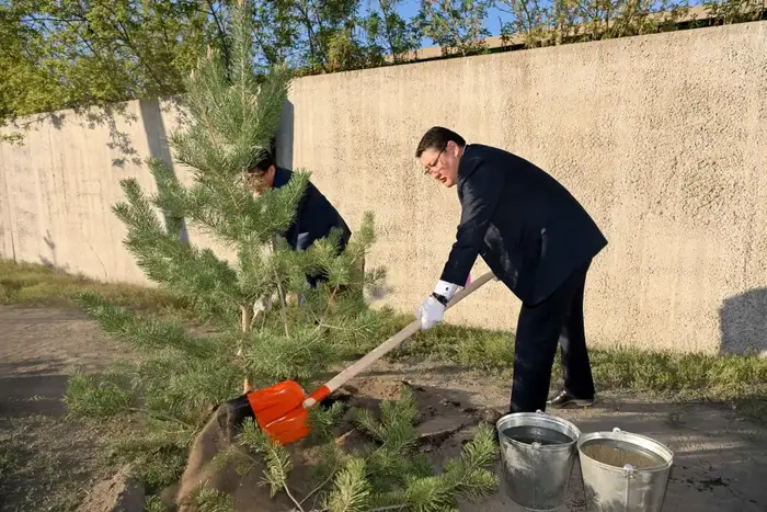 Семей высадит 8 тысяч деревьев в этом году