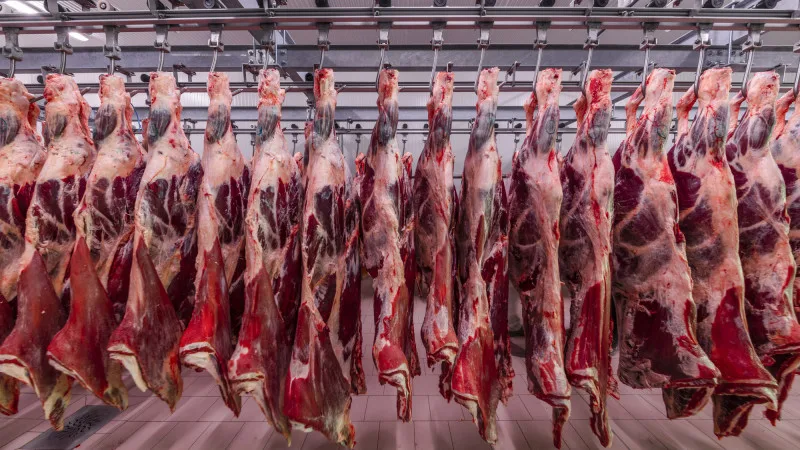 Экспорт халяльного мяса из Казахстана в Турцию: активизация партнёрства в агропромышленном комплексе и сельскохозяйственной сфере Павлодаре