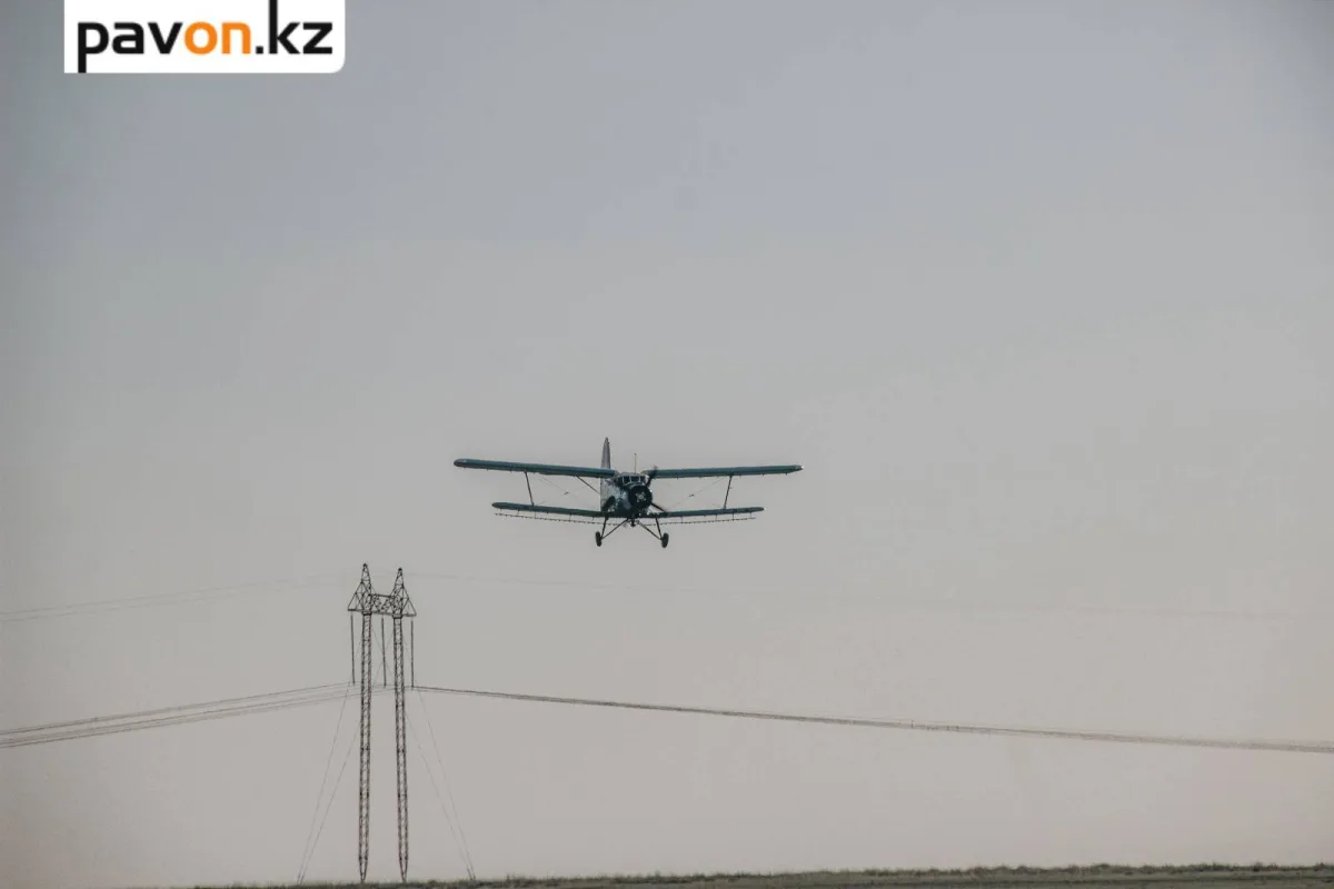 Ан-2 в Павлодаре: легкость полета обернулась тяжелым крушением