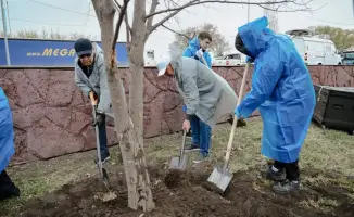 Граждане объединяются для озеленения: более 70 тысяч деревьев высажено в рамках акции "Таза Қазақстан"