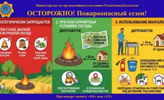 МЧС Казахстана предупреждает о пожарной безопасности в летний период