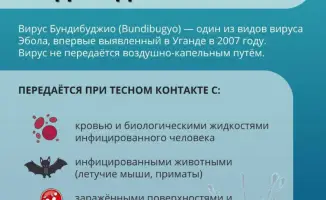 Социальные последствия вспышки лихорадки Эбола: важность соблюдения гигиены и обращения за медицинской помощью