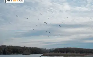 Иртыш наполняется: 6,4 кубокилометра воды из Шульбинского водохранилища – новый поток жизни в сердце реки