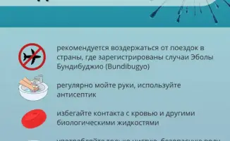 Эбола в пути: как не стать жертвой приключения?