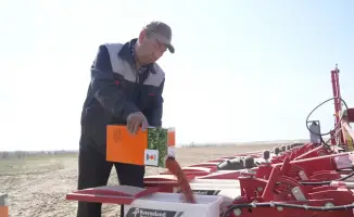 В Жетісу посеяны семена будущего: сахарная свекла на пути к рекорду