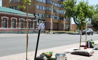 Павлодар: город расцветает под заботливым солнцем озеленения