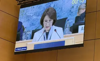 Подходы Казахстана к устойчивому развитию здравоохранения на пленарном заседании в Женеве