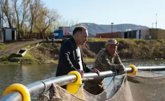 Развитие рыбоводства в ВКО: повышение производства форели и необходимость локализации кормов