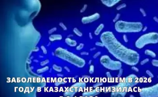 Снижение заболеваемости коклюшем в Казахстане в 2026 году: влияние на здоровье детей и вакцинацию