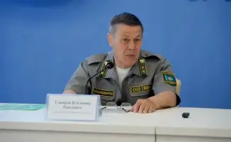 Усиление мер по защите лесов в ВКО: возможные последствия для экосистемы региона