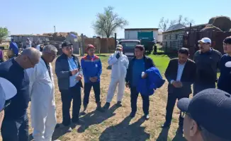 Проверка безопасности животных в Западно-Казахстанской области Амангалием Бердалином