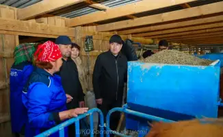 Аким ВКО Нурымбет Сактаганов посетил КХ "Кайрат", где автоматизированный процесс доения коров симментальской породы обеспечивает высокое качество молока.