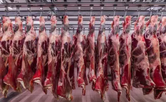Экспорт халяльного мяса из Казахстана в Турцию: активизация партнёрства в агропромышленном комплексе и сельскохозяйственной сфере