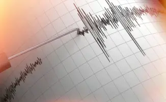 Казахстанские сейсмологи зафиксировали землетрясения магнитудой 4,8 и 4,5 в приграничном районе Китая и Кыргызстана
