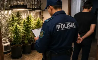 Житель Павлодара устроил мини-плантацию конопли у себя дома