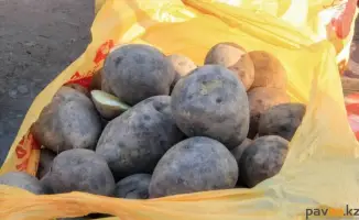В Павлодарской области Казахстана огурцы, картофель и морковь продаются по завышенным ценам