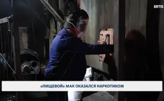 Мак из местных полей стал угрозой: наркотики под контролем!