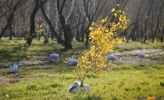 Последний день для участия в фотоконкурсе экологии в Павлодаре