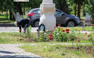 Павлодар расцветает: стартует высадка цветов