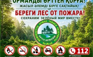 Павлодарцы: не дайте огню разгореться – сообщайте о лесных пожарах!