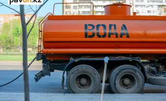 Как павлодарские коммунальщики поливают цветы в зной: секреты спасения