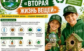 В Павлодарской области стартовал конкурс на лучшие поделки из отходов