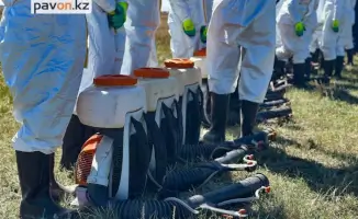 Павлодарцам рекомендовали оставаться дома: опасность на Иртыше возрастает