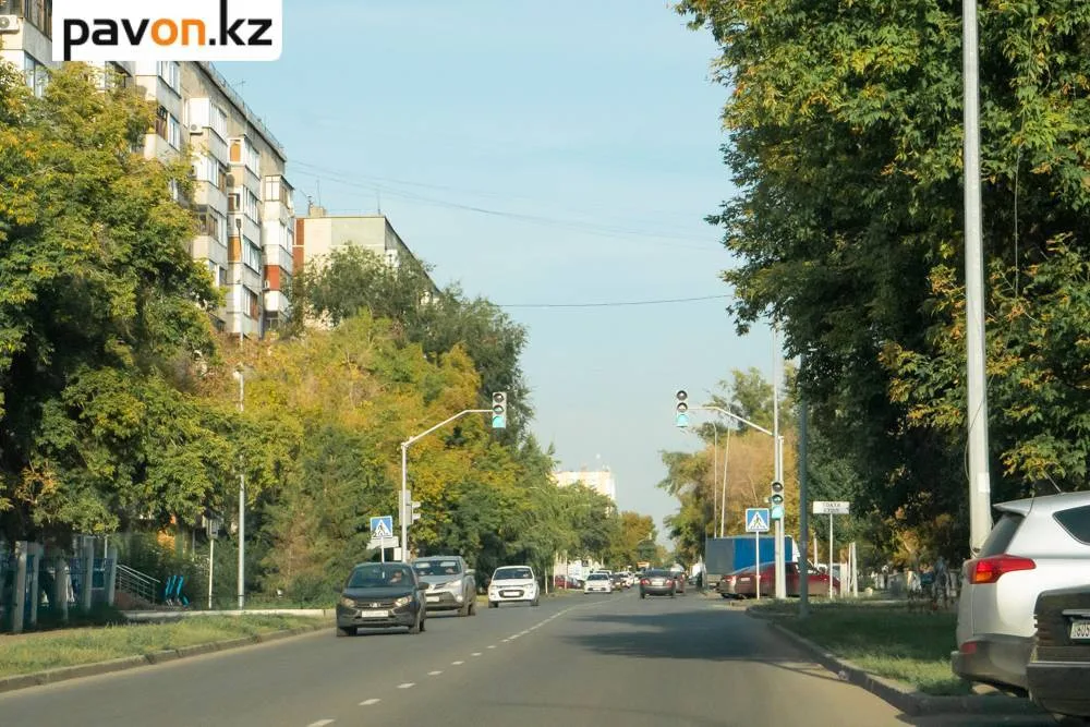Павлодар: Общественники обсуждают сохранение статуса зеленого города