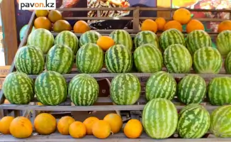 Павлодарцы приглашают на арбузный фестиваль: вкус лета для всех!