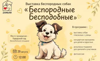 Павлодар: выставка 'Беспородные — бесподобные' откроет сердца и двери