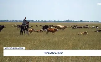 Трудовое лето: как работа превращается в отдых и новые возможности