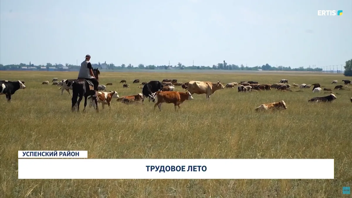 Трудовое лето: как работа превращается в отдых и новые возможности