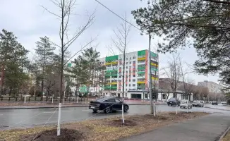 Павлодар: до конца осени высадят 650 лип для улучшения экологии